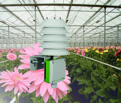 Media.Category.ImageAlternateTextFormat