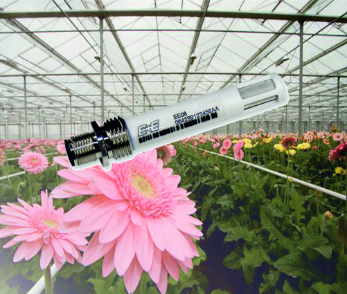 Media.Category.ImageAlternateTextFormat